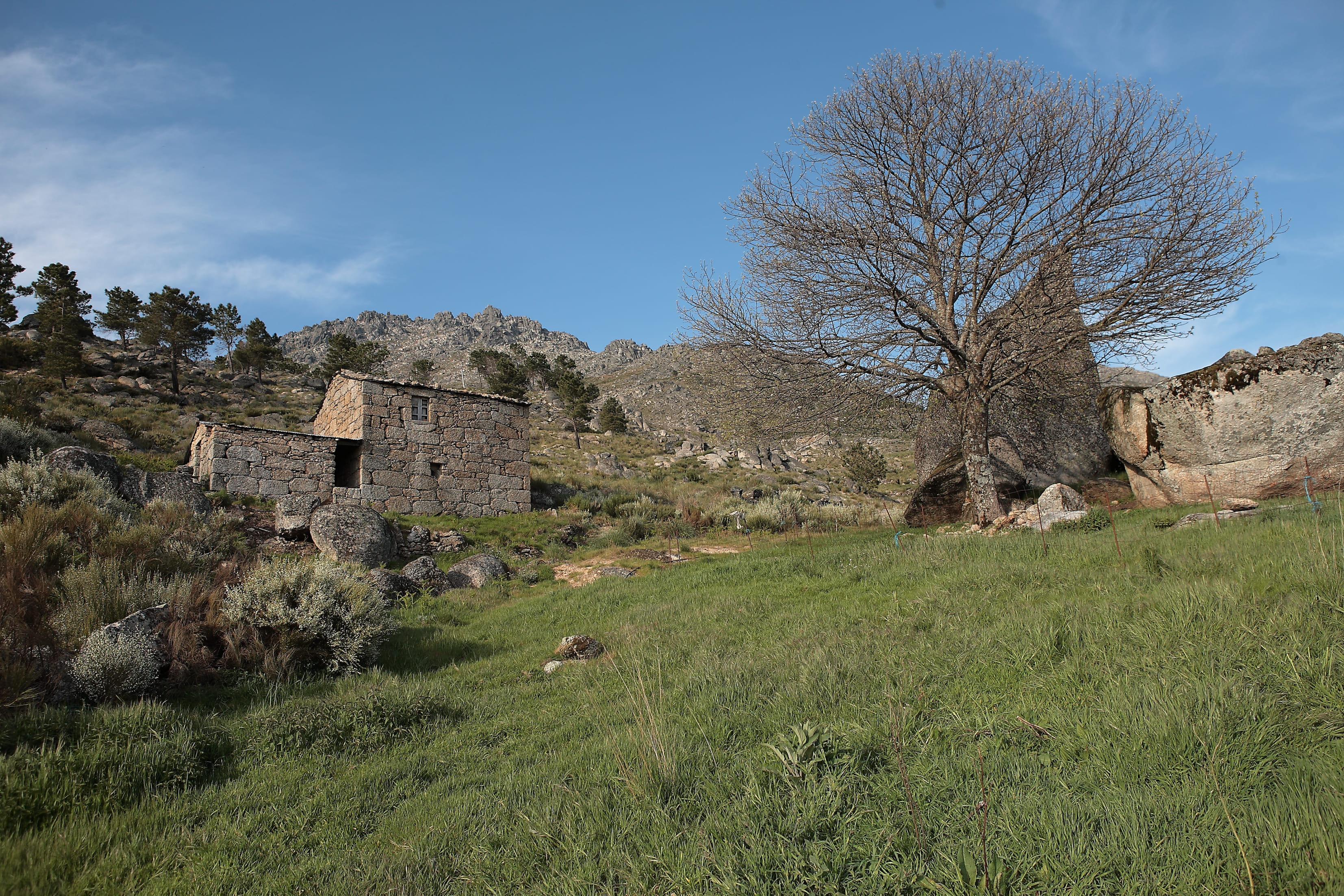 Garganta de Loriga_Eira da Pedra (2)