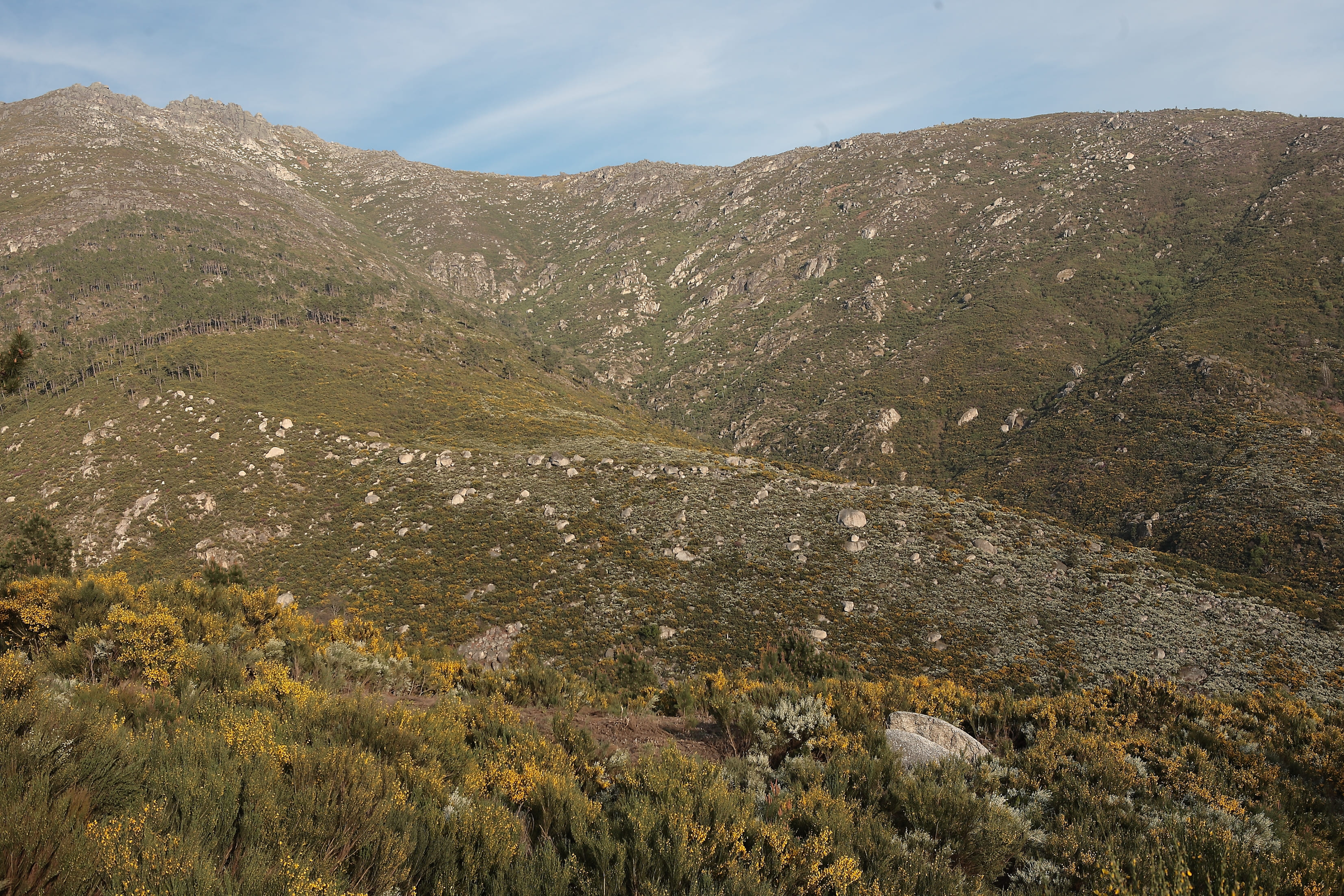 Garganta de Loriga_Eira da Pedra (4)