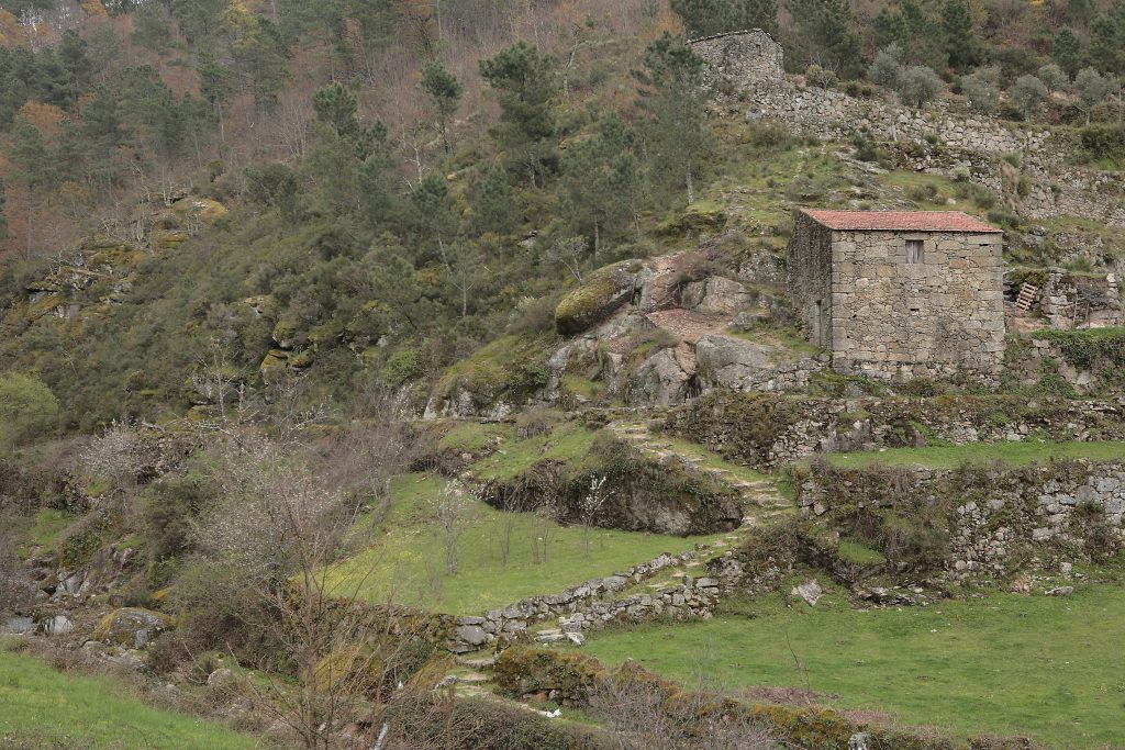 PR4 – SEI/ROTA DA EIRA