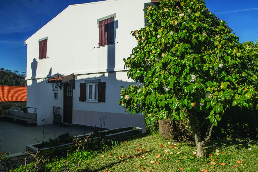 CASAS DO LIMOEIRO