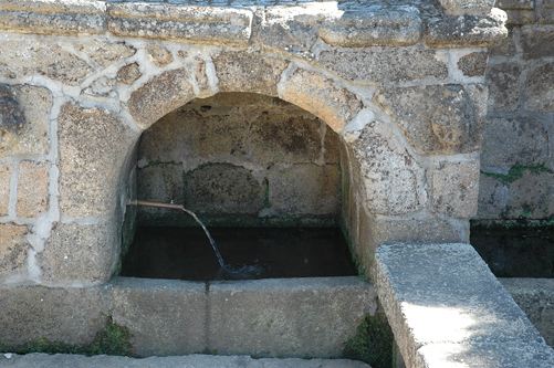 fm1