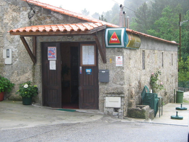 margarida1_4