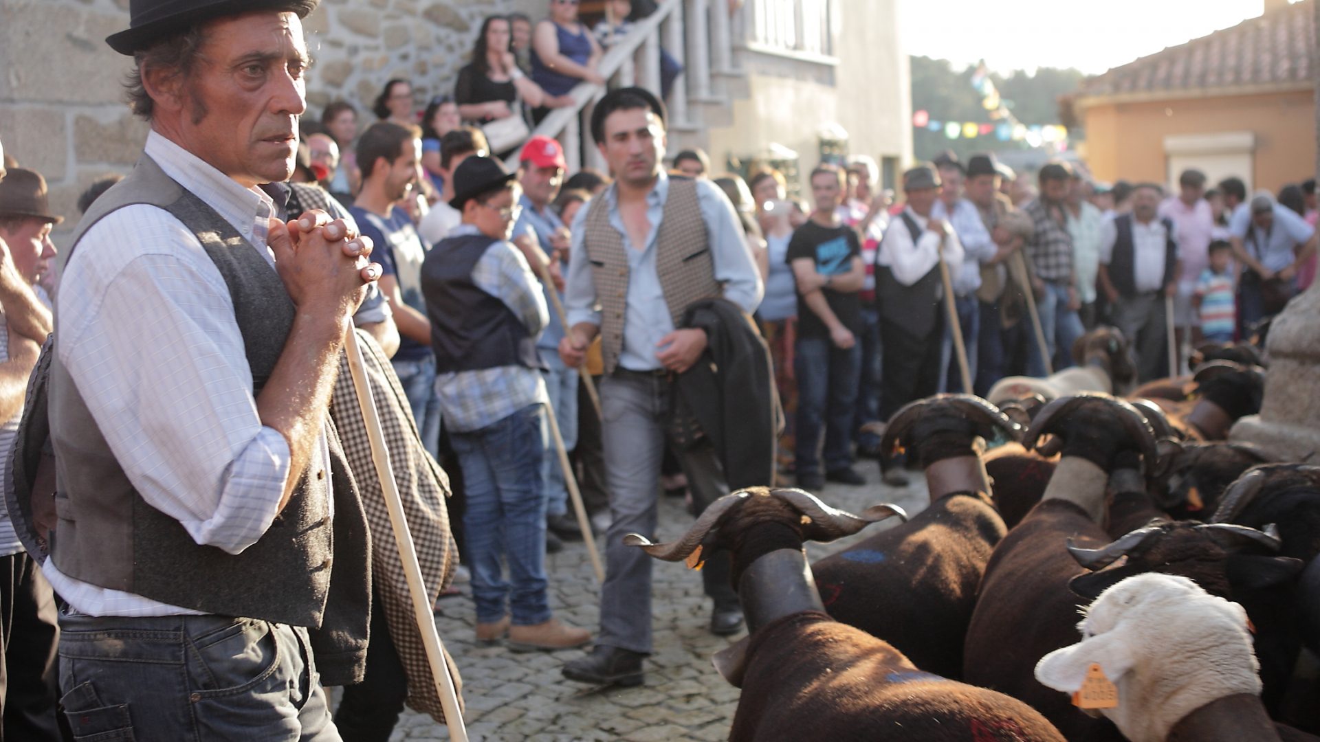 salgadeiras_JulhoBenção_Folgosa_Jun16_ (11)