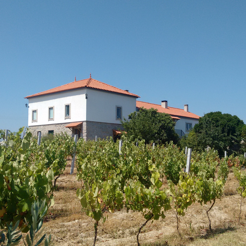 QUINTA DE VODRA