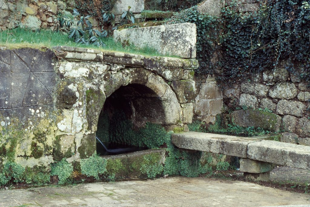 Torroselo