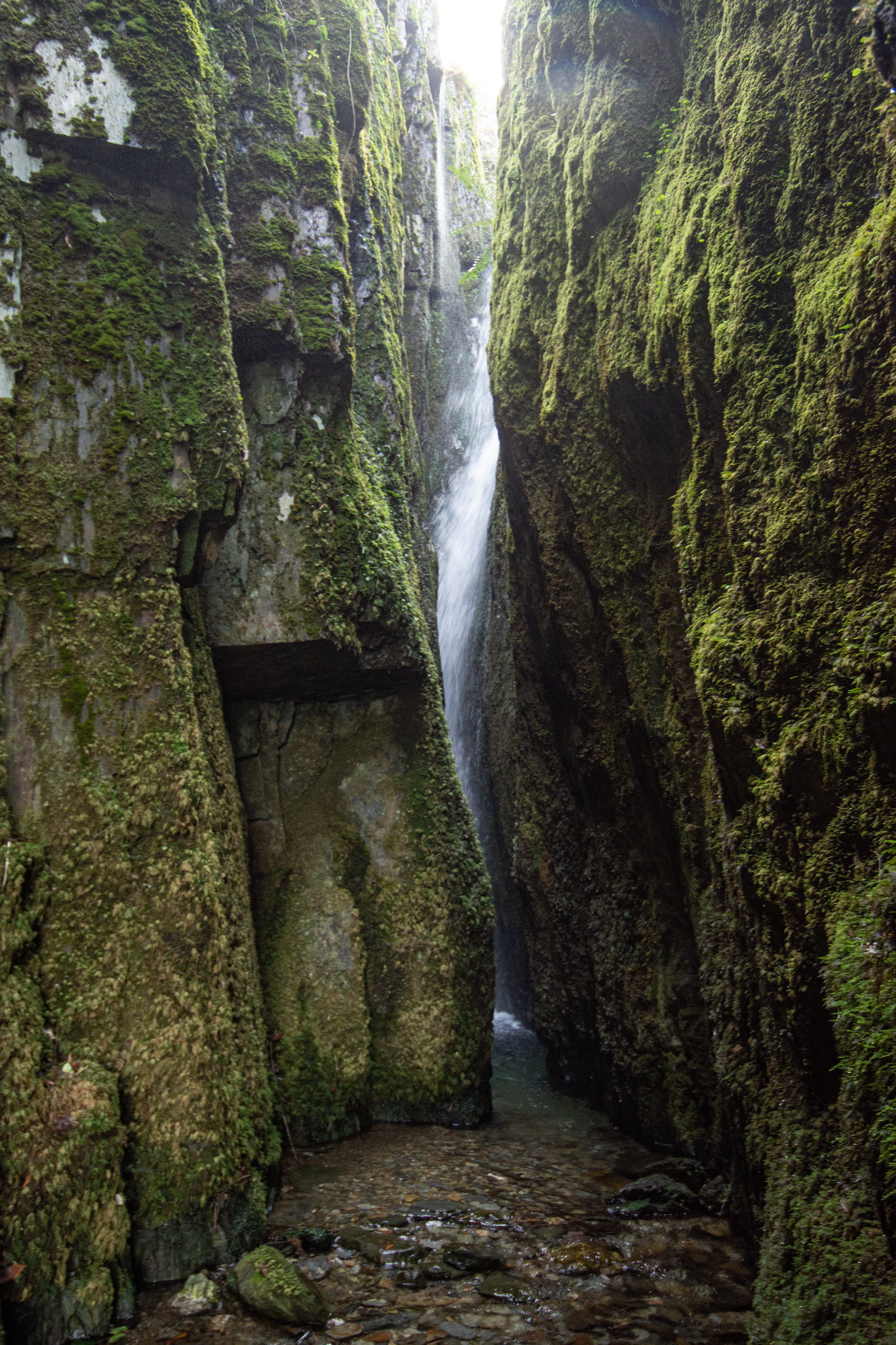 Cabouqueiras da Forja_ (12)