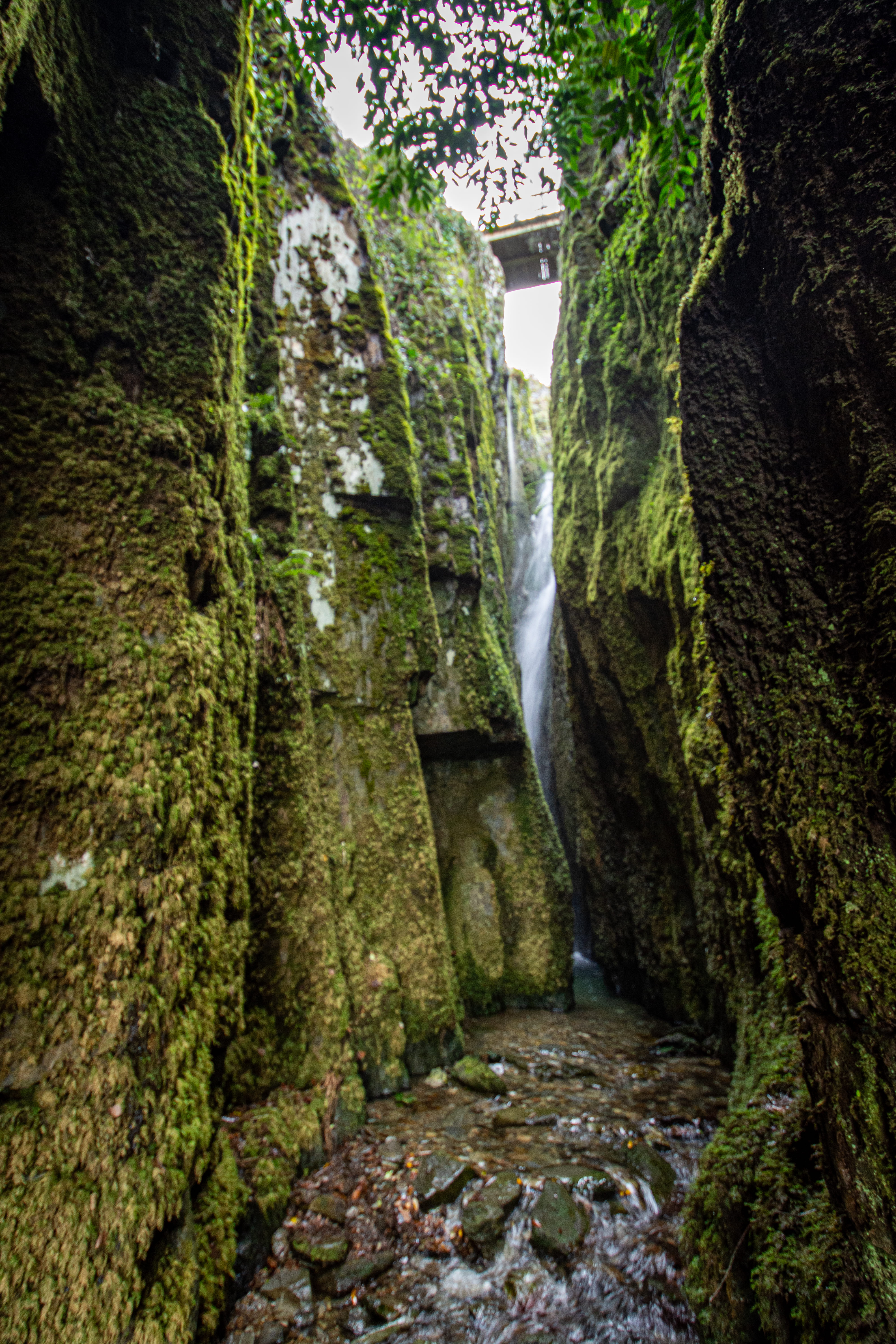Cabouqueiras da Forja_ (14)