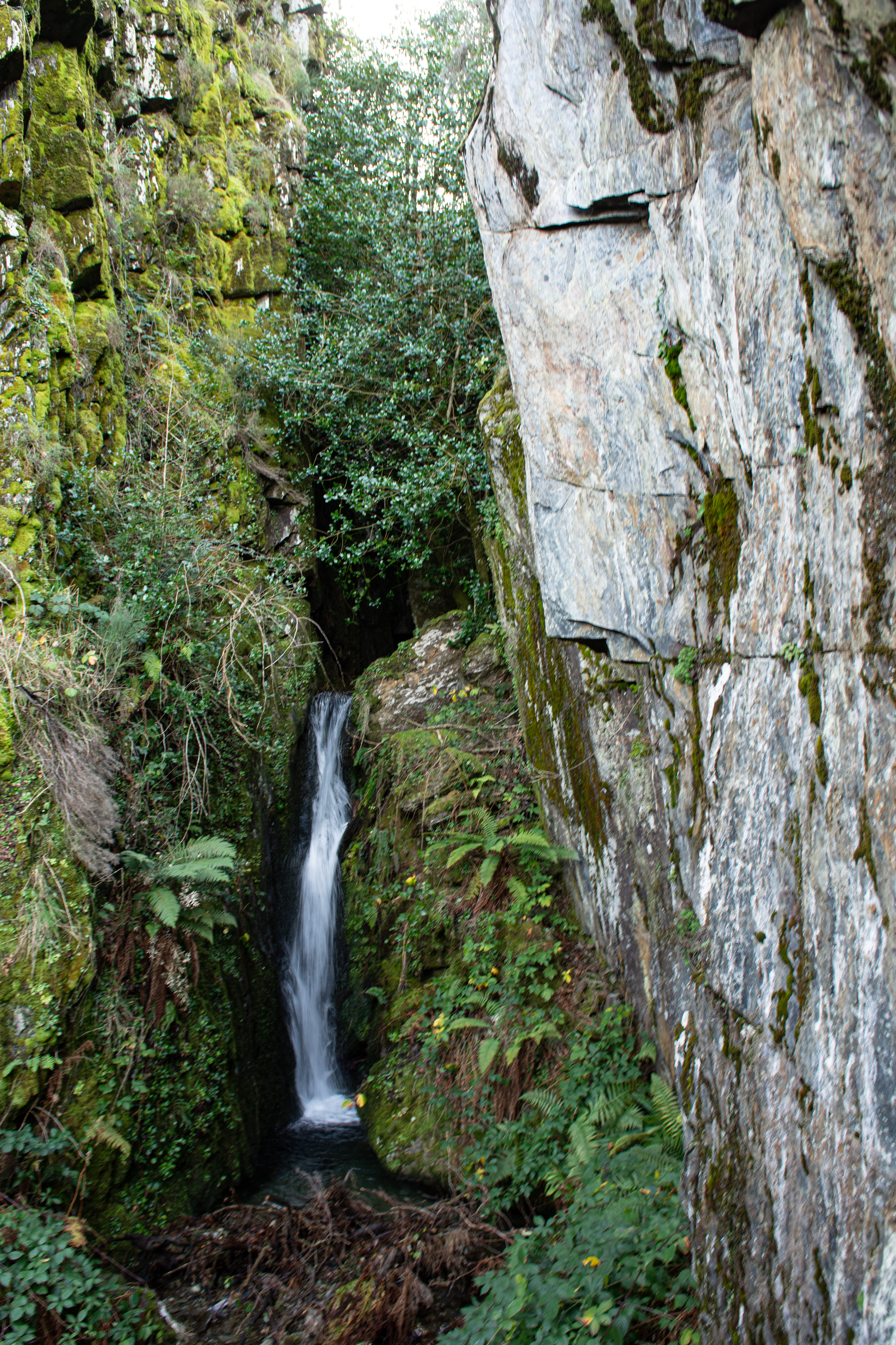 Cabouqueiras da Forja_ (2)