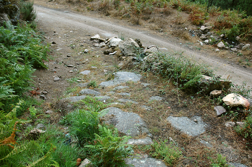 Calçada Romana – Loriga