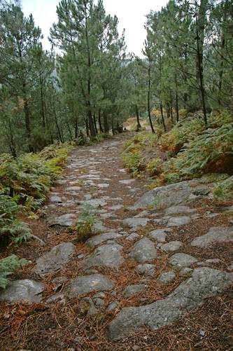 Calçada romana1