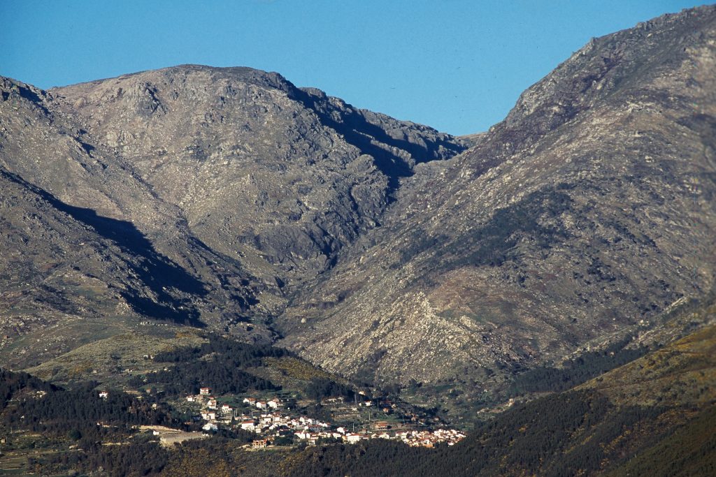 Loriga