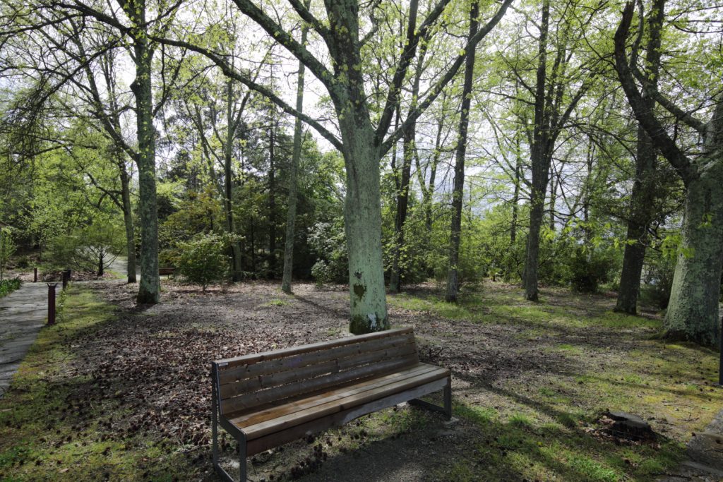 Parque Verde do CISE