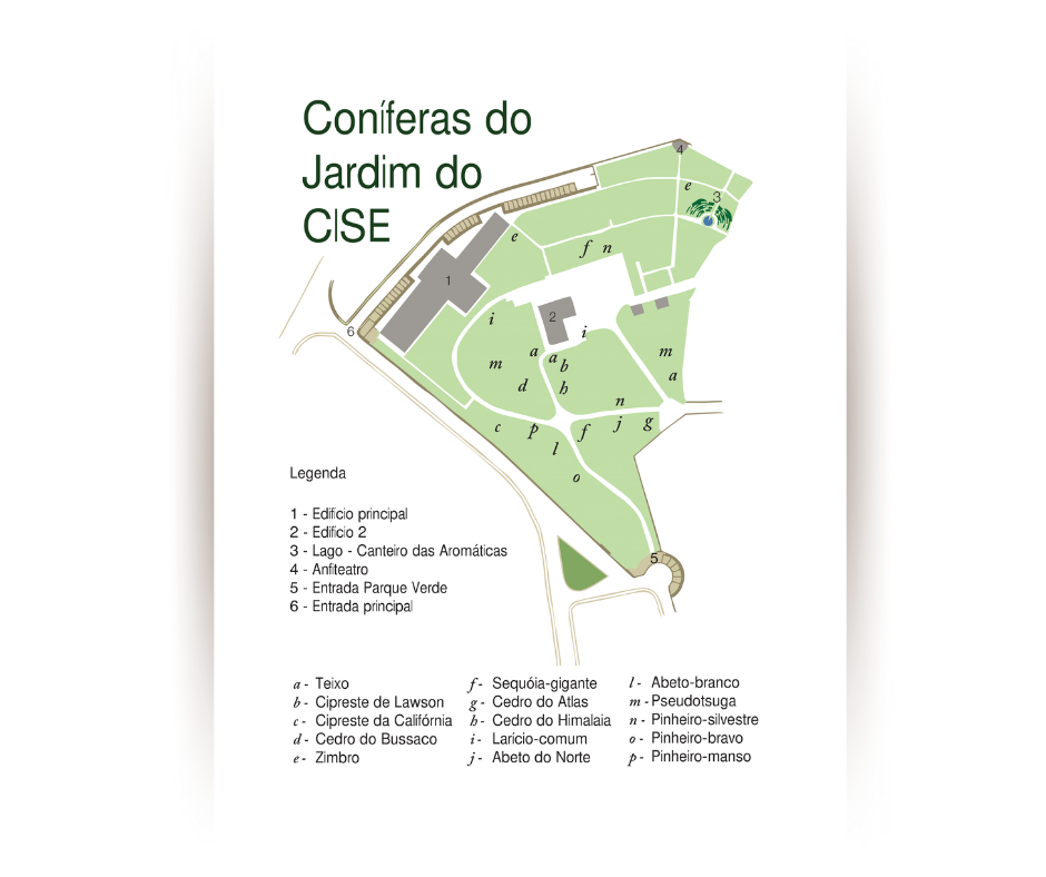 Mapa jardim do cise
