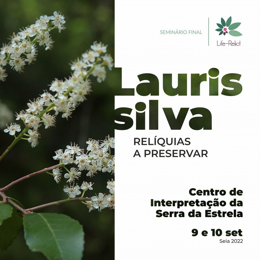 Laurissilva: relíquias a preservar – Seminário final Life-Relict