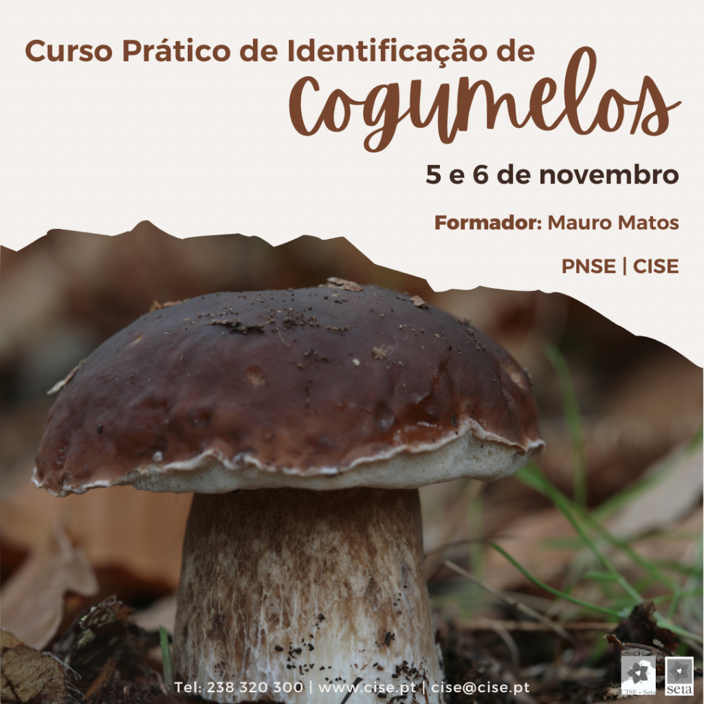 Curso Prático de Identificação de Cogumelos