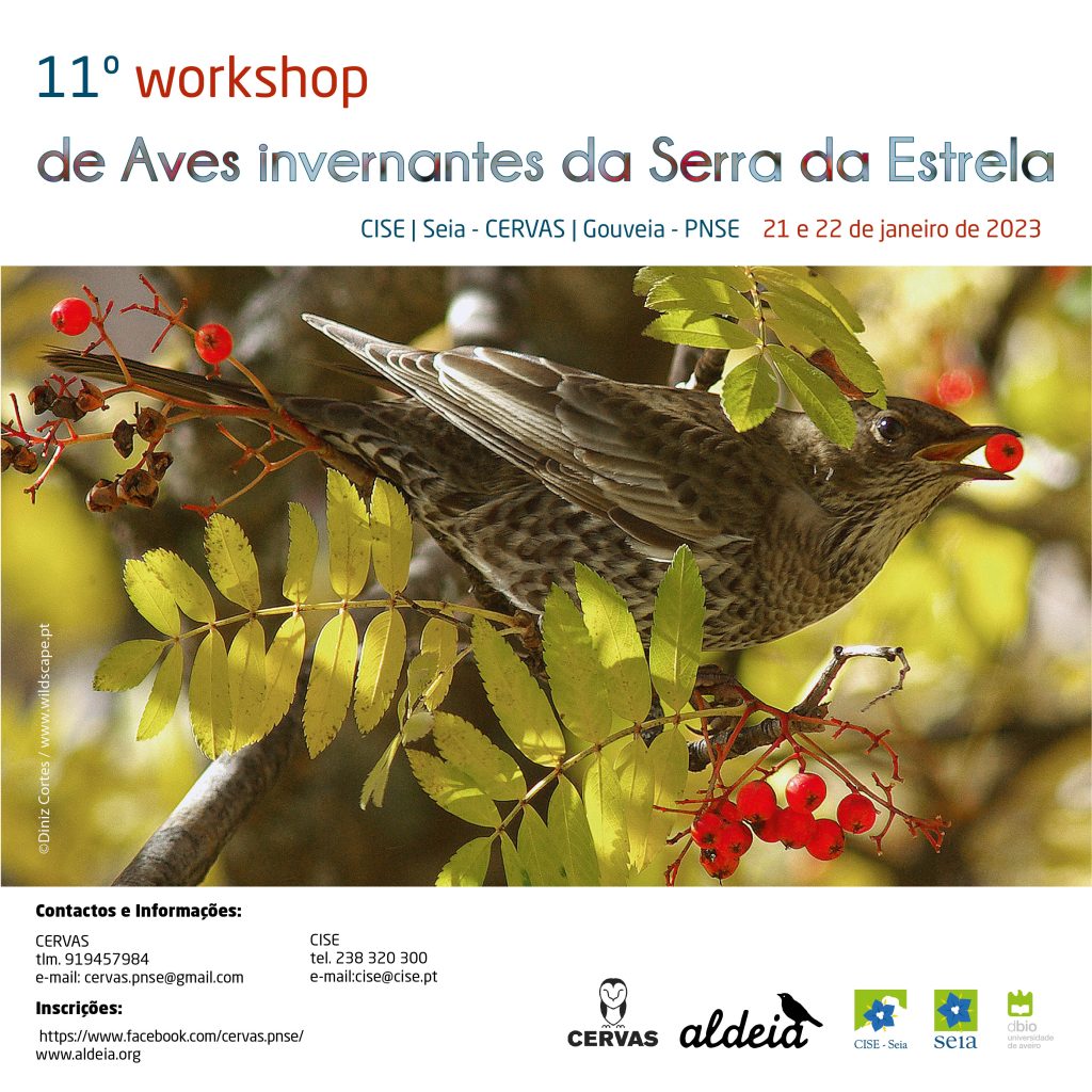 11.º Workshop de Aves Invernantes da Serra da Estrela