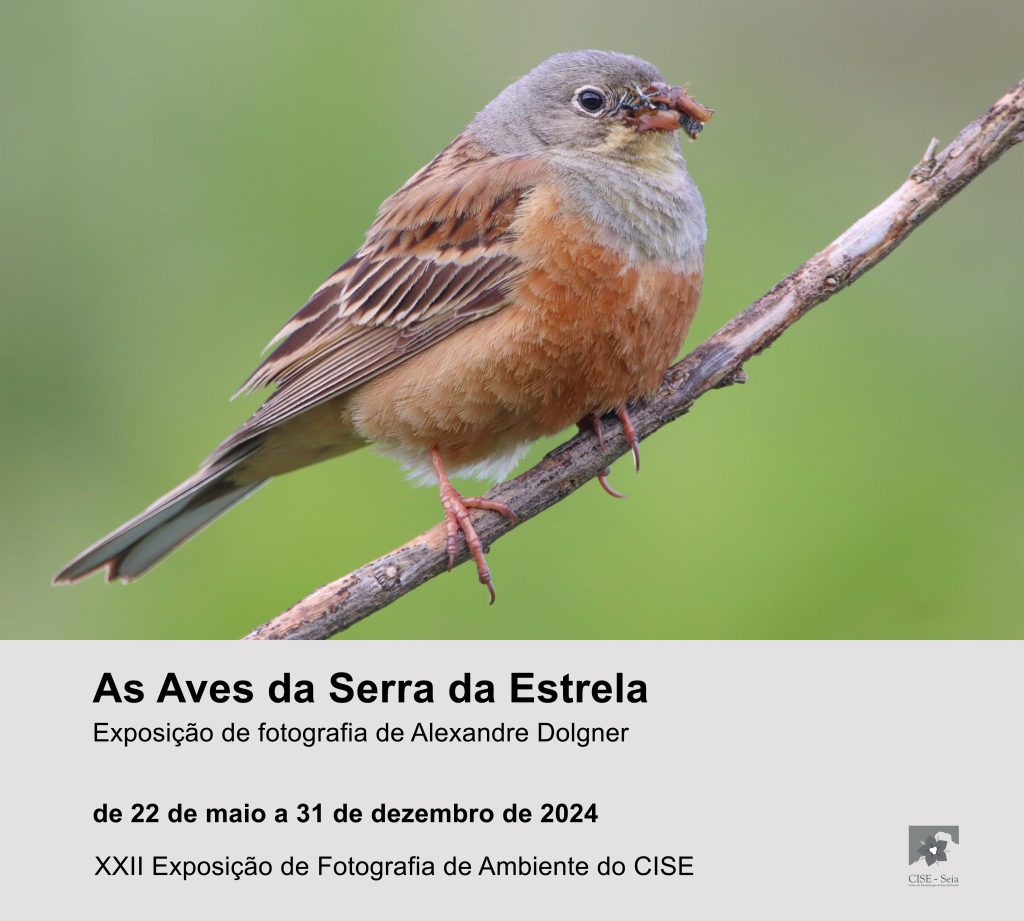 XXII Exposição de Fotografia de Ambiente do CISE – As Aves da Serra da Estrela