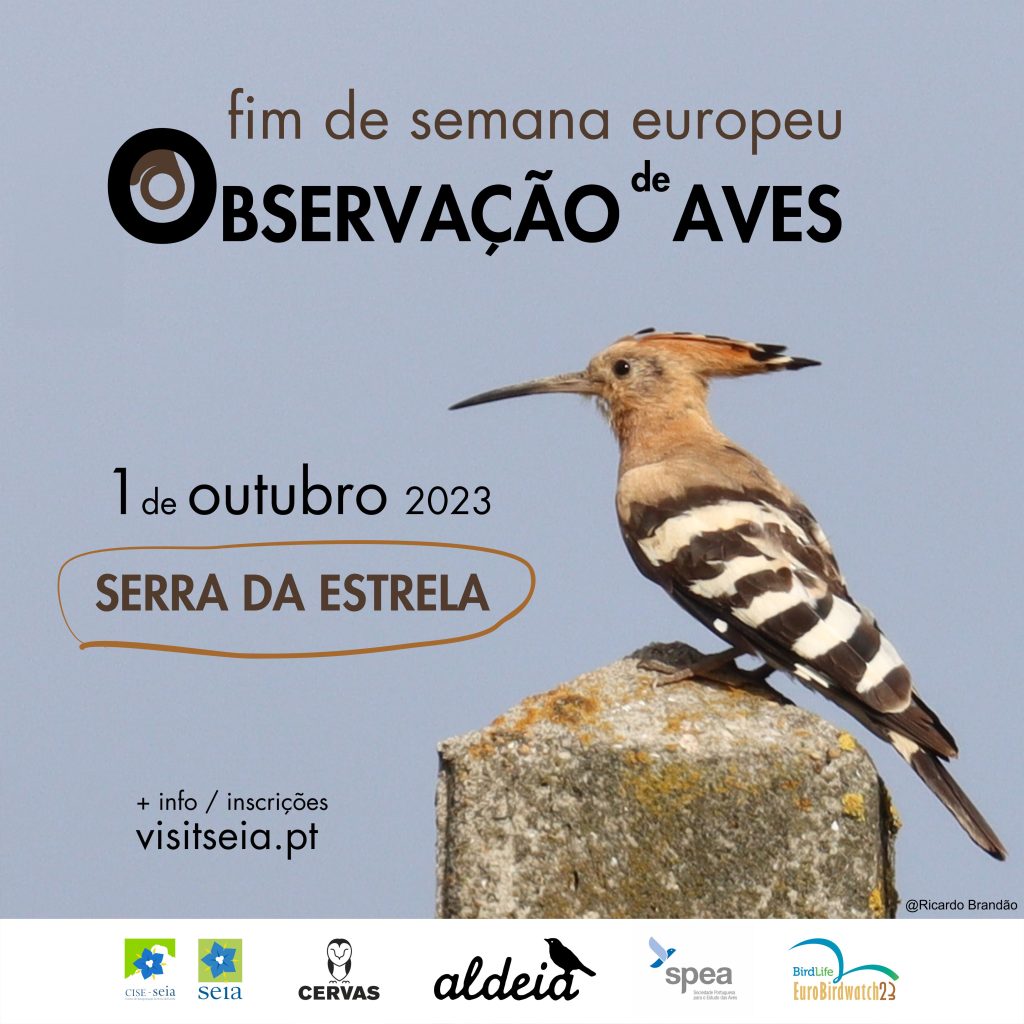 Saída de Campo para Observação de Aves